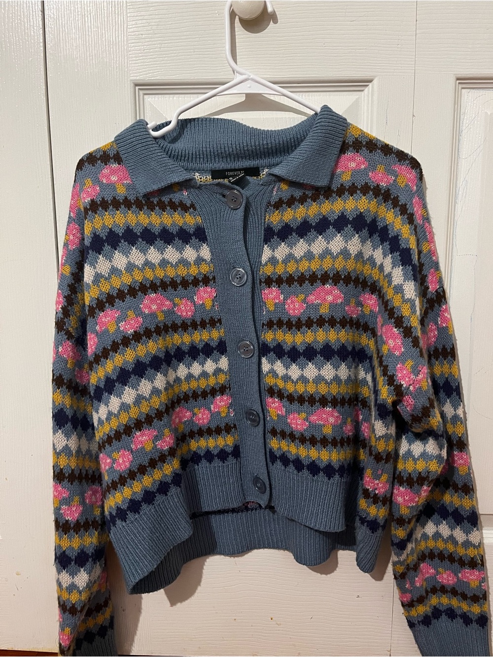 Forever 21 Blue Floral Mushroom Fair Isle Button Cardigan